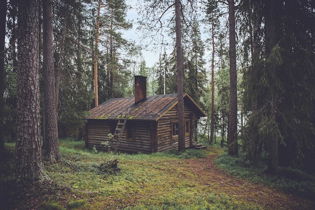 Cabin Home